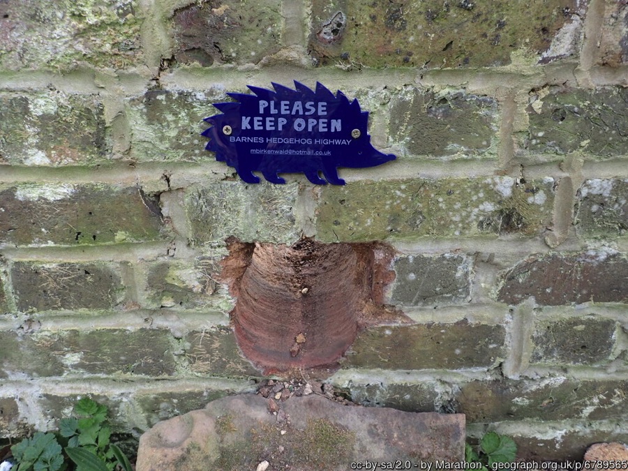 Hole in a wall creating a hedgehog highway